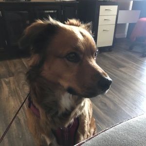 Meet your Posher, Rebecca